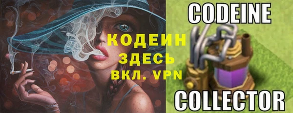 шишки Лихославль