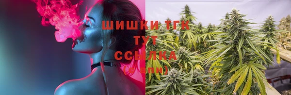 спиды Липки