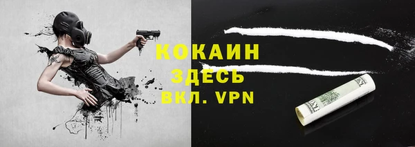 шишки Лихославль
