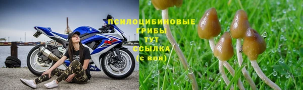 mix Медногорск