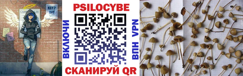 Галлюциногенные грибы MAGIC MUSHROOMS  Купить где  Апшеронск 